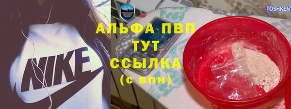 гидра Пестово