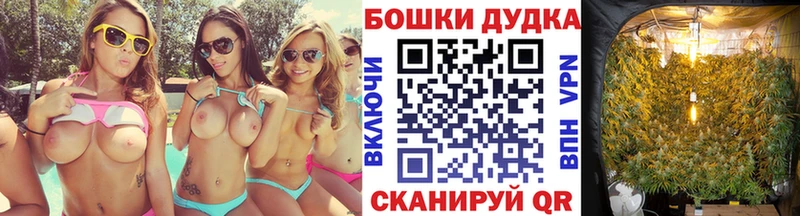 как найти наркотики Аткарск Конопля индика
